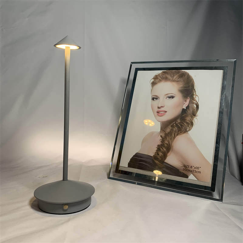 Modern Pina Rechargeable Table Lamp - Buyrouth