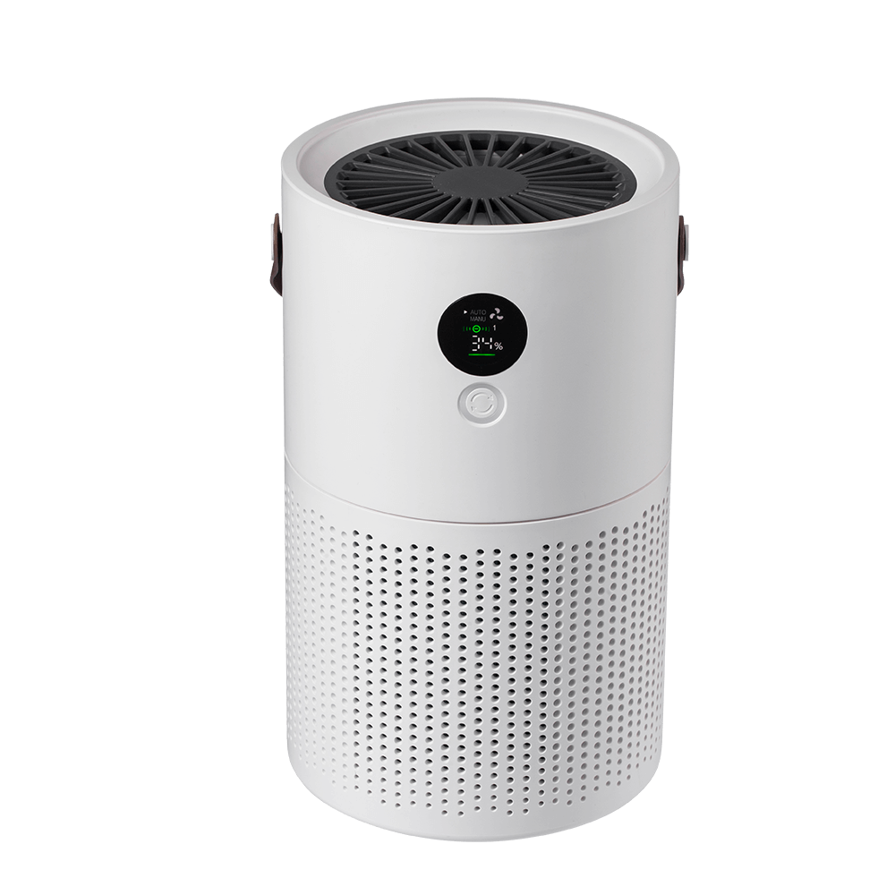 Rechargeable Air Purifier with HEPA Filter #AP01