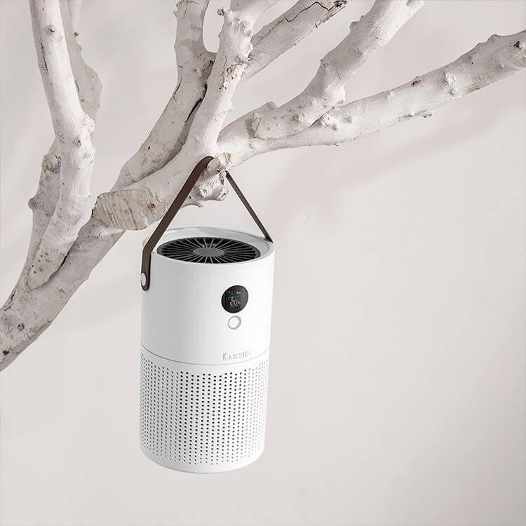 Rechargeable Air Purifier with HEPA Filter #AP01 – view 2