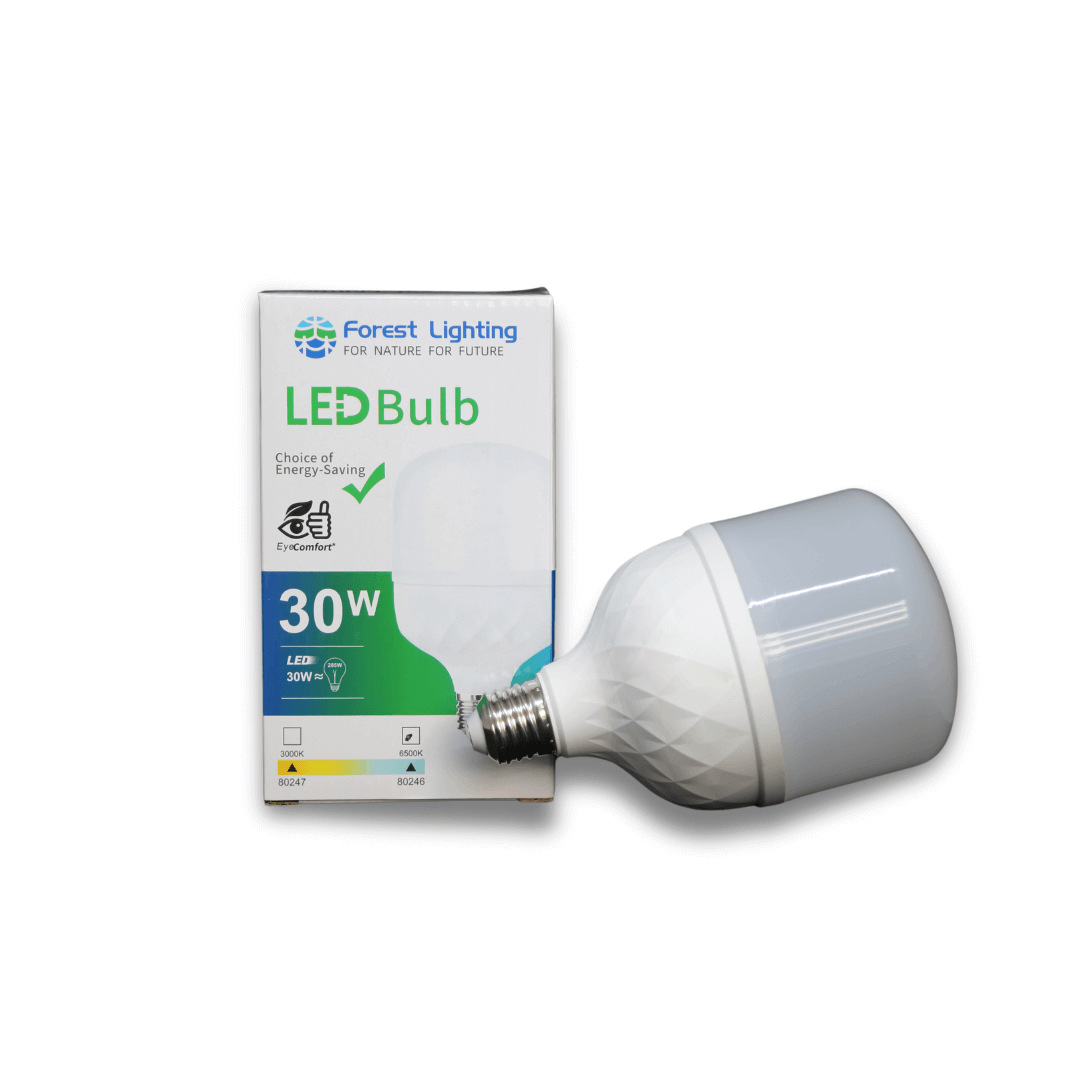 Forest Lighting 30W LED E27 Bulb