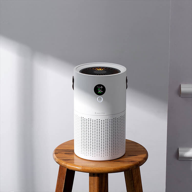 Rechargeable Air Purifier with HEPA Filter #AP01 – view 8