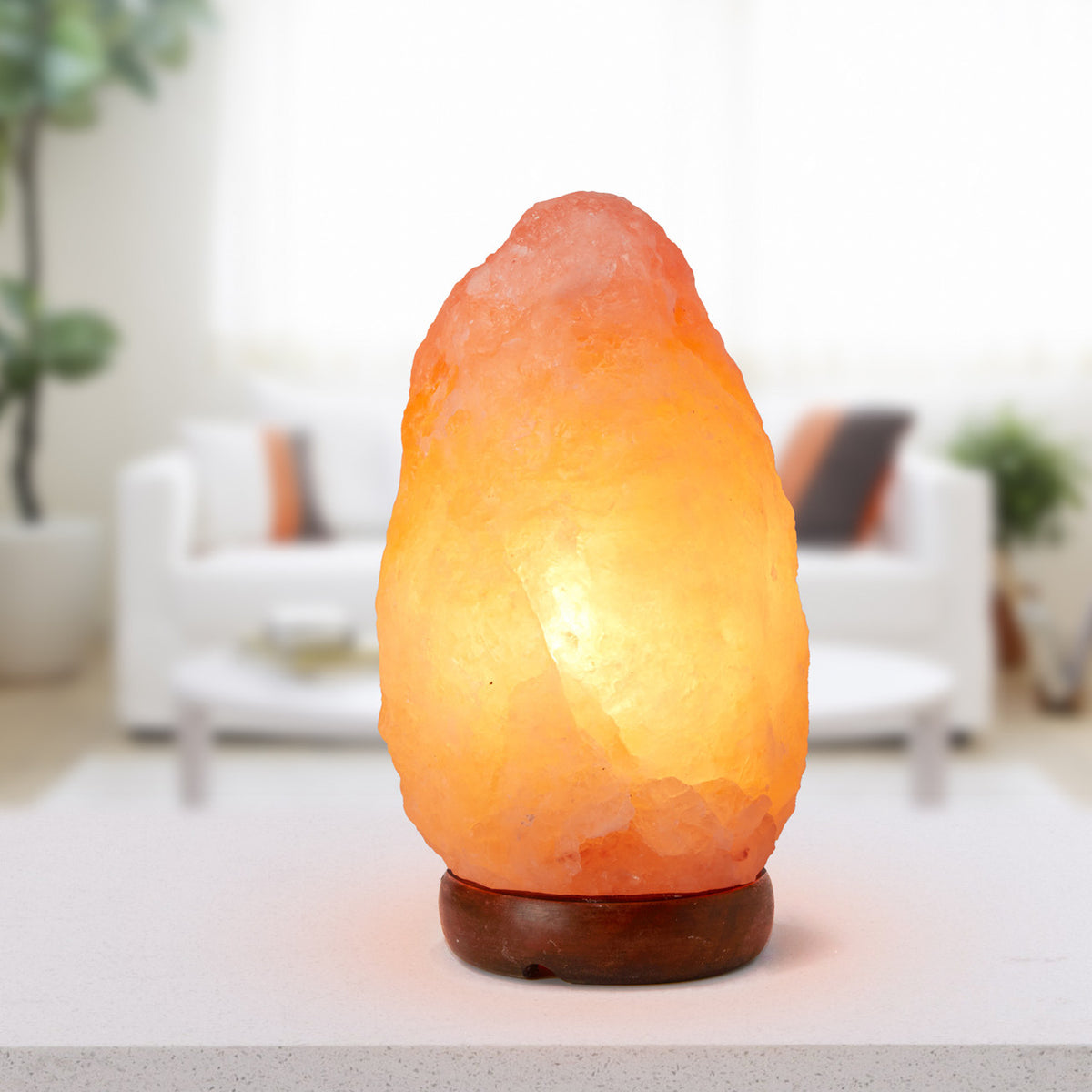 Himalayan Salt Lamp - Buyrouth