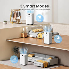 CHIVALZ 3 Modes Compressor Dehumidifier