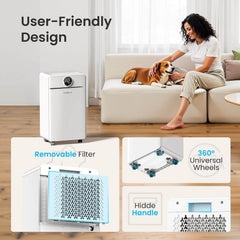 CHIVALZ 3 Modes Compressor Dehumidifier