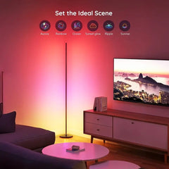 Govee Floor Lamp Basic Matter Compatible