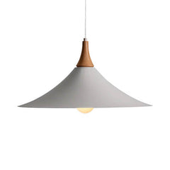 Ceiling Pendant Lamp Speaker Design #CD042a