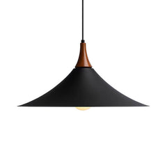 Ceiling Pendant Lamp Speaker Design #CD042a