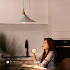 Ceiling Pendant Lamp Speaker Design #CD042a