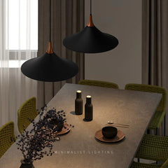 Ceiling Pendant Lamp Speaker Design #CD042a