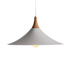 Ceiling Pendant Lamp Speaker Design #CD042a