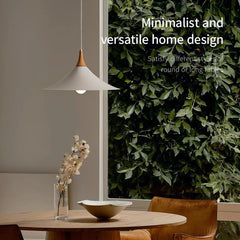 Ceiling Pendant Lamp Speaker Design #CD042a
