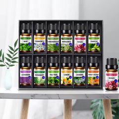 Water Soluble Essential Oils Set of 12