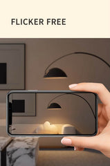 Full Spectrum Fishing Floor Lamp #LD042aS