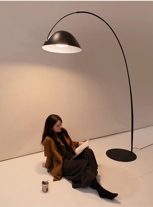 Aisilan Full Spectrum Fishing Floor Lamp #LD042aS – view 12