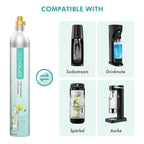 60L CO₂ Carbonator 1L Bottle Compatible with Buyrouth Appliances – view 6