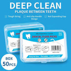 Dental Oral String Floss Picks