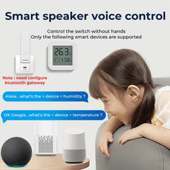 Tuya Smart Temperature & Humidity Sensor #WSD007