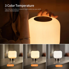 Aisilan Austri Grand Cordless Table Lamp #TD015a