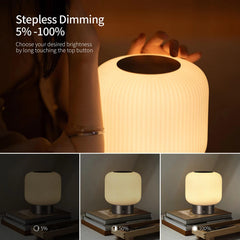 Aisilan Austri Grand Cordless Table Lamp #TD015a