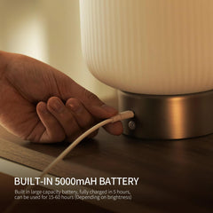 Aisilan Austri Grand Cordless Table Lamp #TD015a
