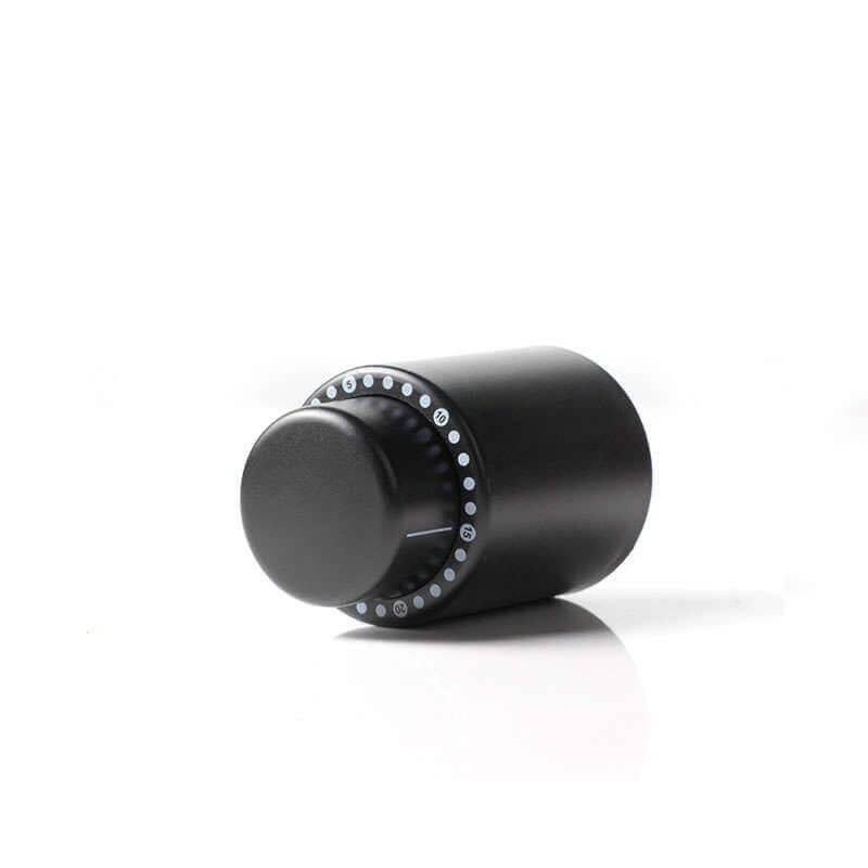 Wine Bottle Stopper with Date Preserver