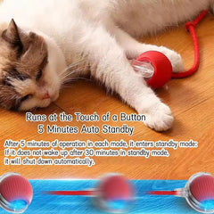 Smart Cat Toy Ball