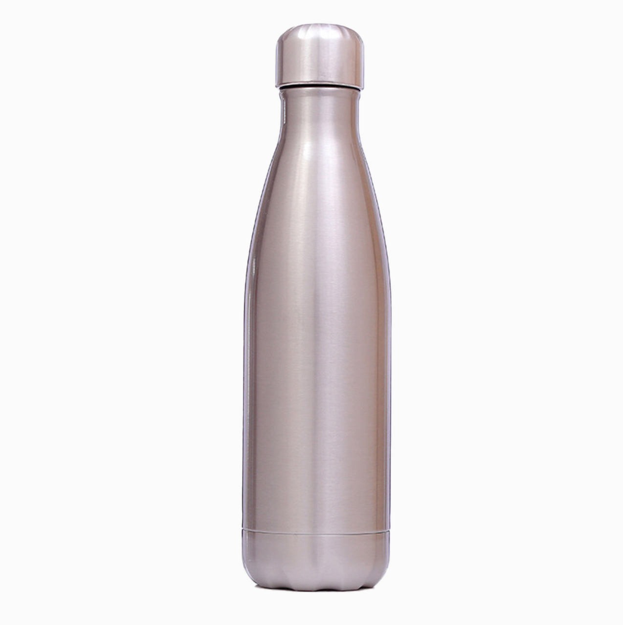 Stainless Steel Bottle - Buyrouth