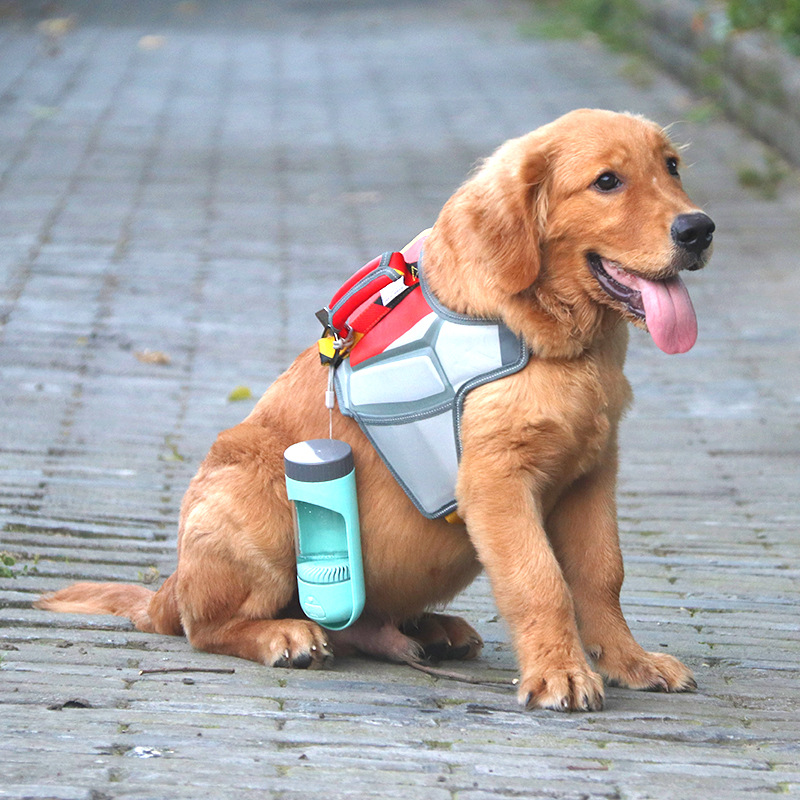 Portable Dog Water Dispenser - Buyrouth