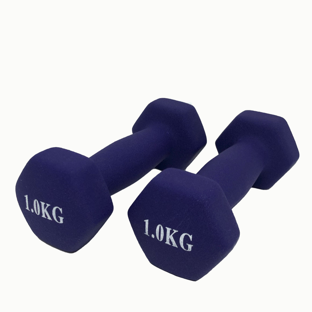 Shop Workout Dumbbell Set Online at Buyrouth