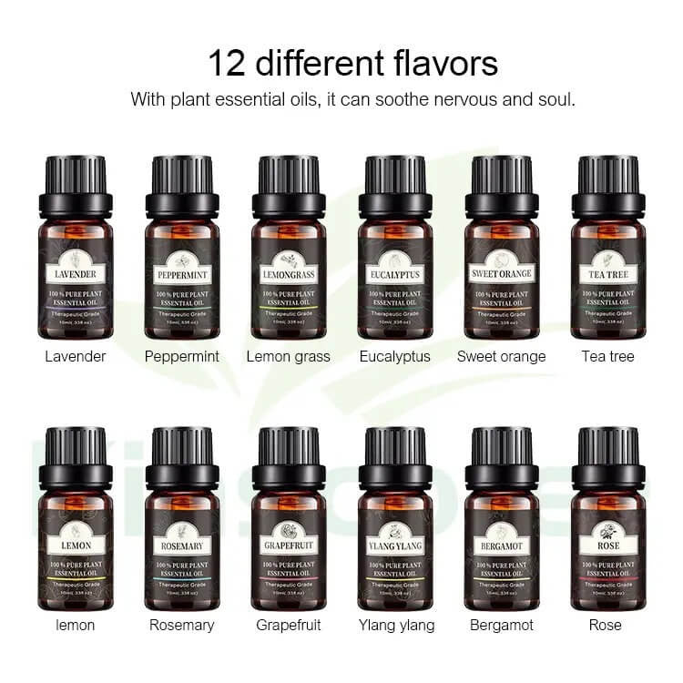 Pure Essential Oils Set of 12 - Buyrouth