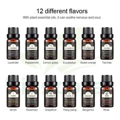 Pure Essential Oils Set of 12 - Buyrouth