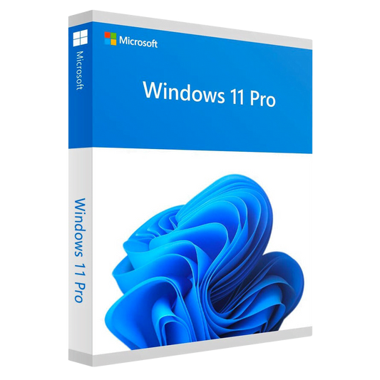 Microsoft Windows 11 Professional