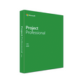 Microsoft Project Professional – view 2